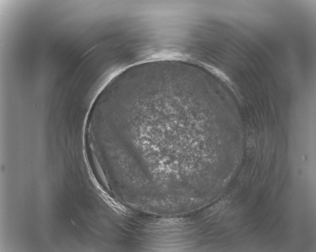 X0000058141423200510072019