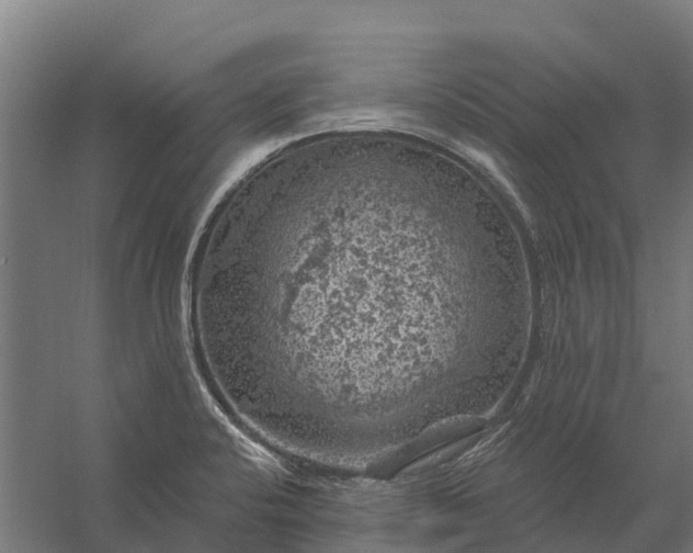 X0000058141424200510072019