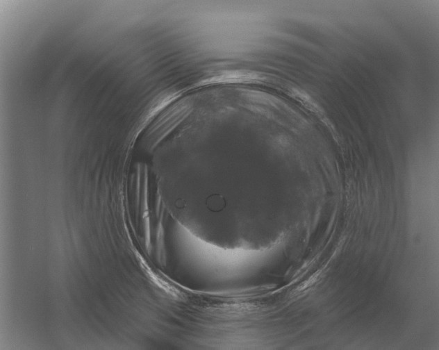 X0000058141425200510072019