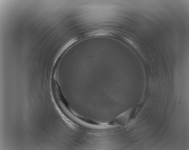 X0000058141426200510072020