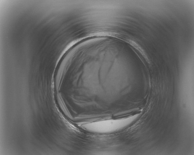 X0000058141428200510072020