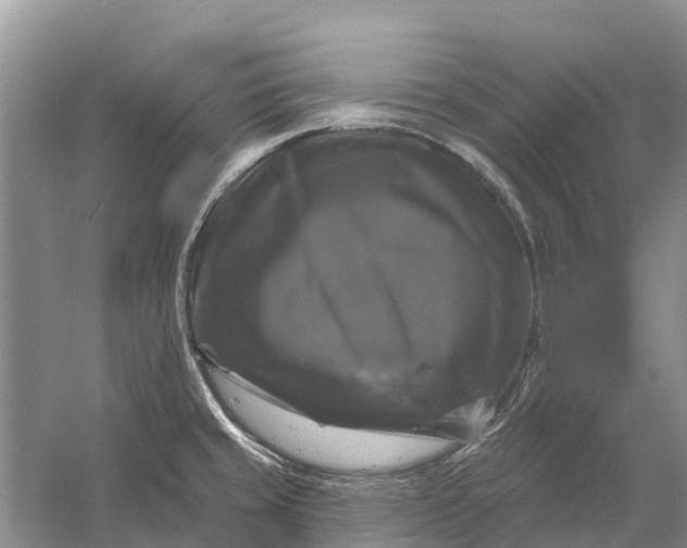 X0000058141429200510072020