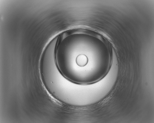 X0000058141430200510072020