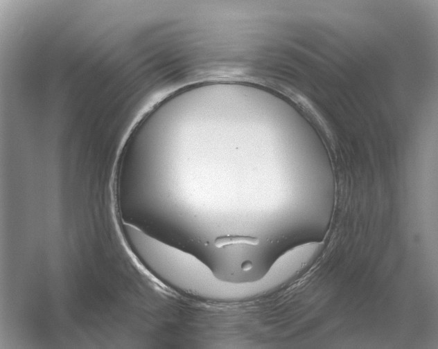 X0000058141432200510072020