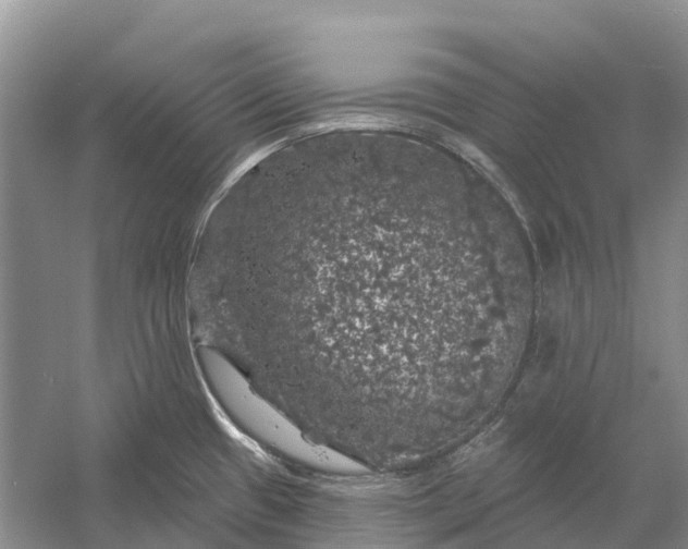 X0000058141433200510072020