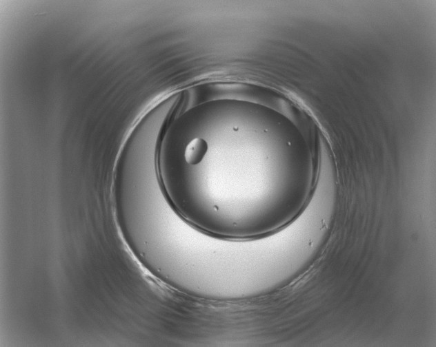 X0000058141434200510072020