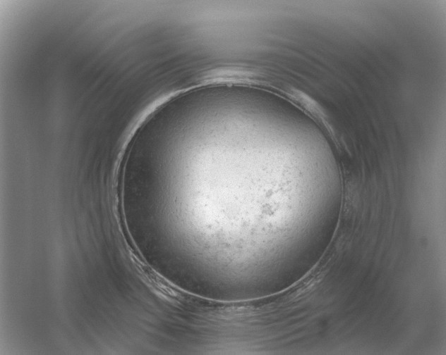 X0000058141435200510072020