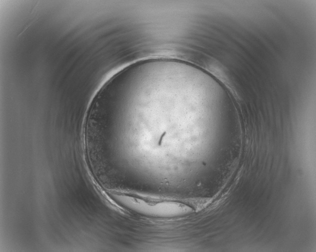 X0000058141436200510072020