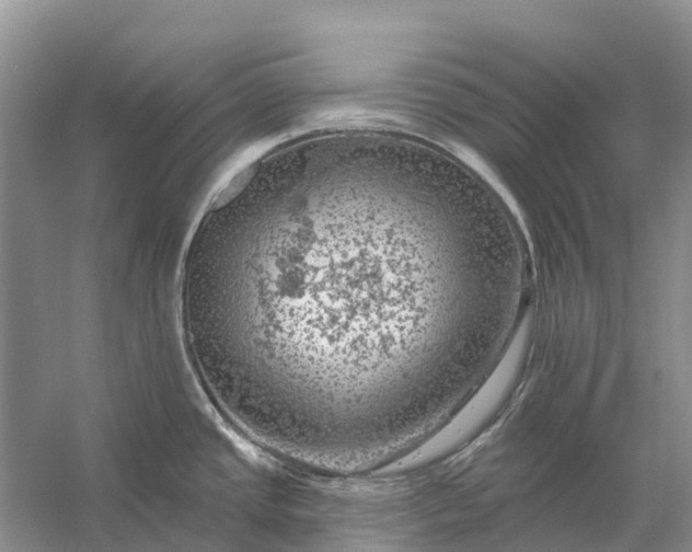 X0000058141437200510072020