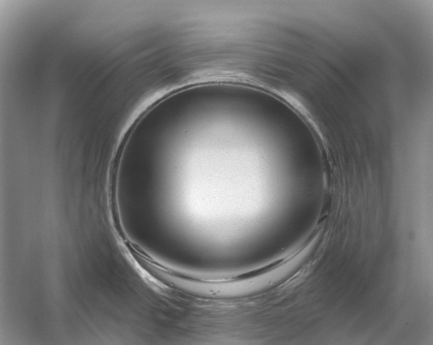 X0000058141438200510072020