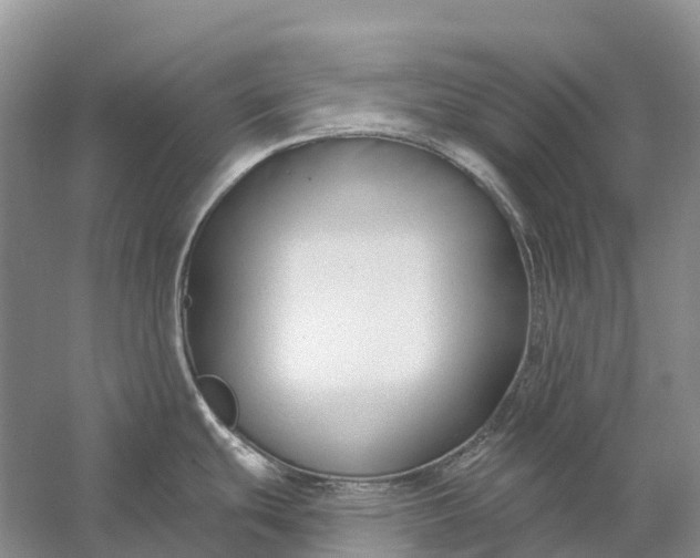 X0000058141439200510072020