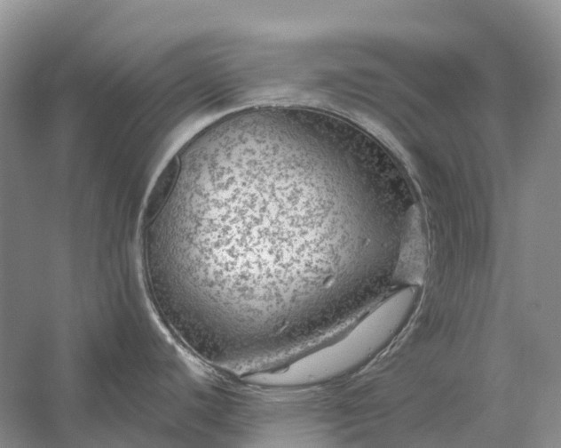 X0000058141440200510072020