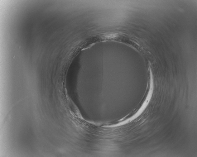 X0000058141441200510072019