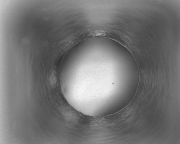 X0000058141442200510072019