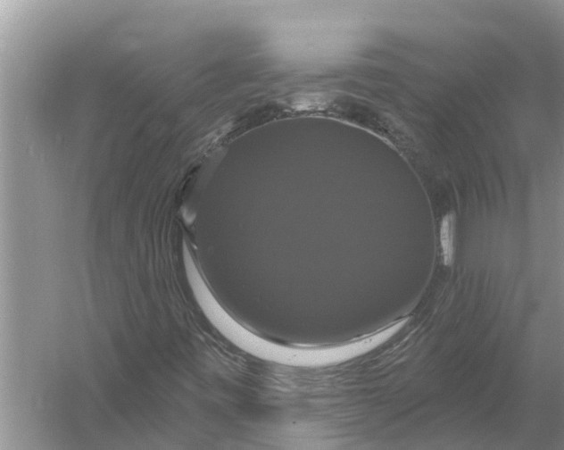 X0000058141443200510072019