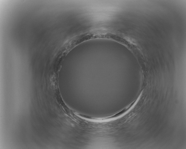 X0000058141445200510072019