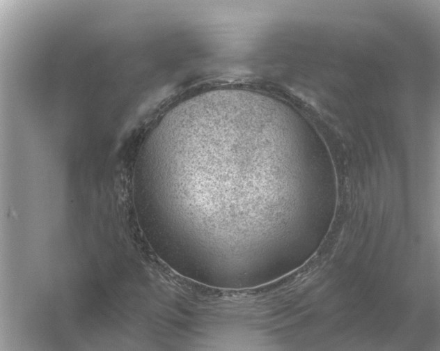 X0000058141447200510072019