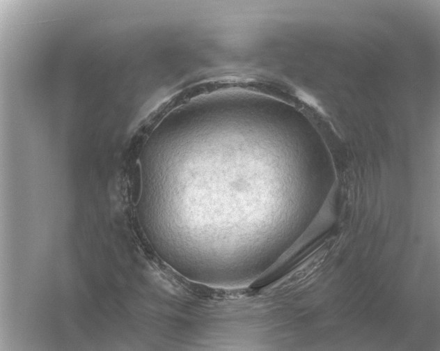 X0000058141448200510072019