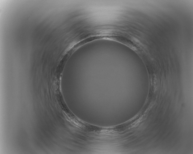 X0000058141449200510072019