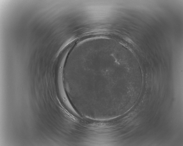 X0000058141450200510072019