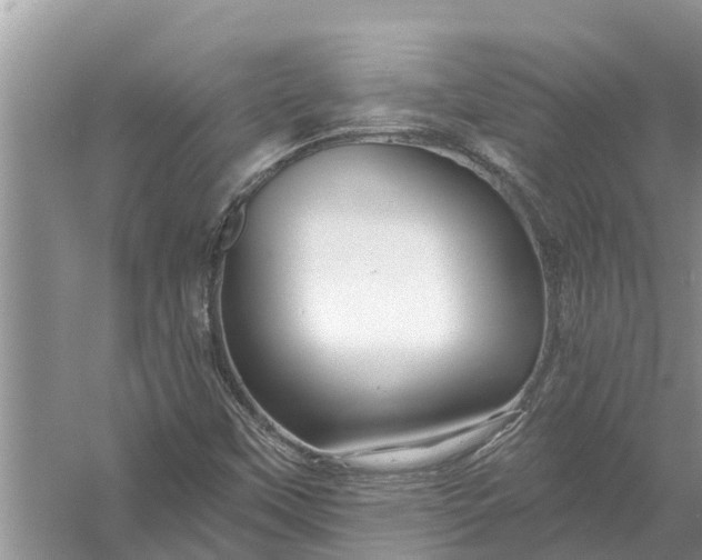 X0000058141451200510072019