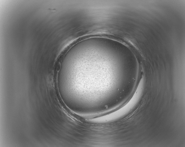 X0000058141452200510072019