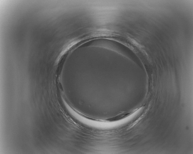 X0000058141453200510072019