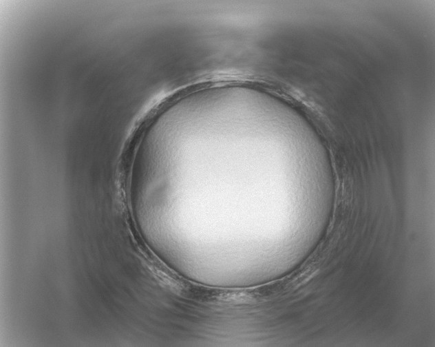 X0000058141454200510072019