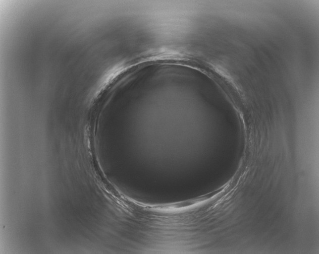 X0000058141455200510072019