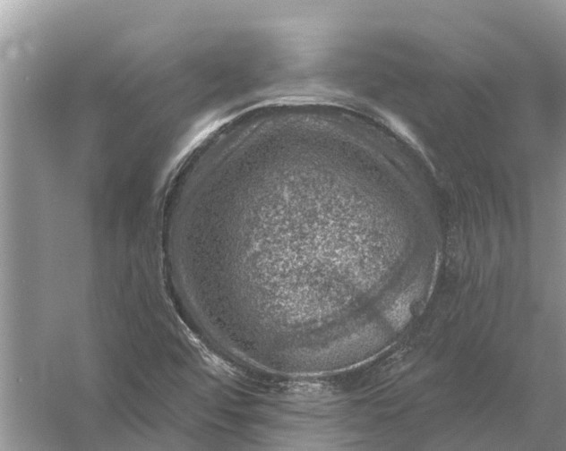 X0000058141456200510072019