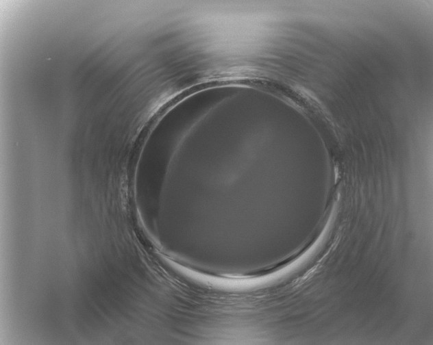 X0000058141457200510072019