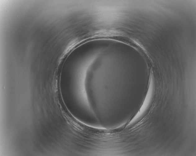 X0000058141459200510072019