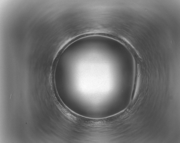 X0000058141460200510072019