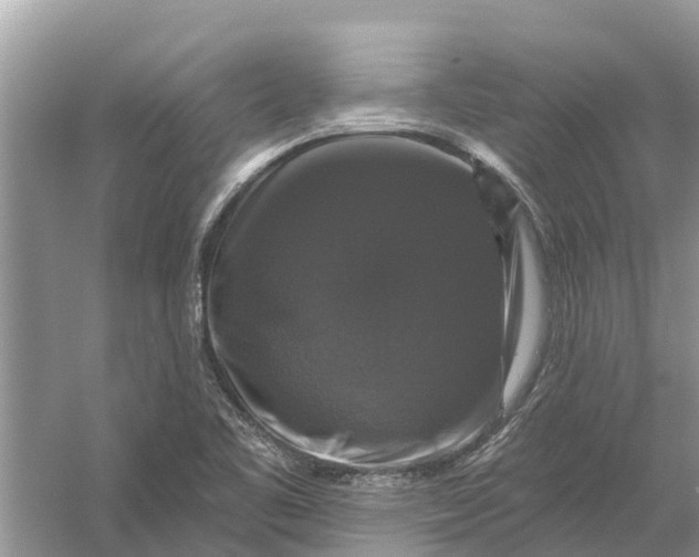 X0000058141461200510072019