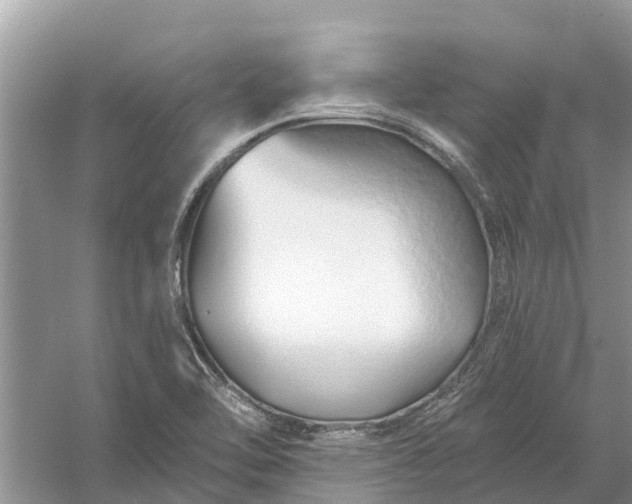 X0000058141462200510072019