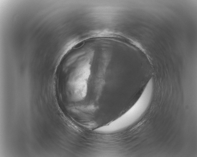 X0000058141463200510072019