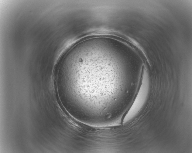 X0000058141464200510072019