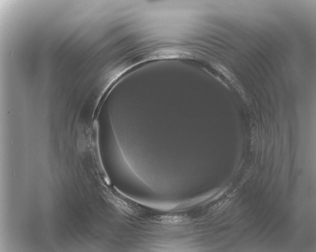 X0000058141465200510072019