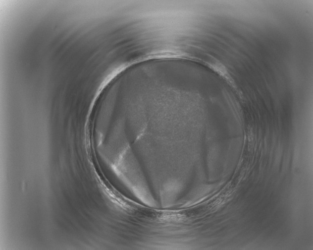 X0000058141466200510072019