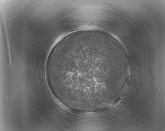 X0000058141467200510072018