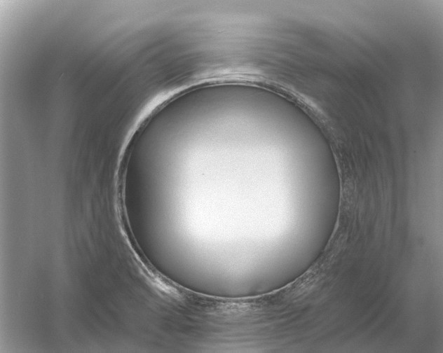 X0000058141470200510072018