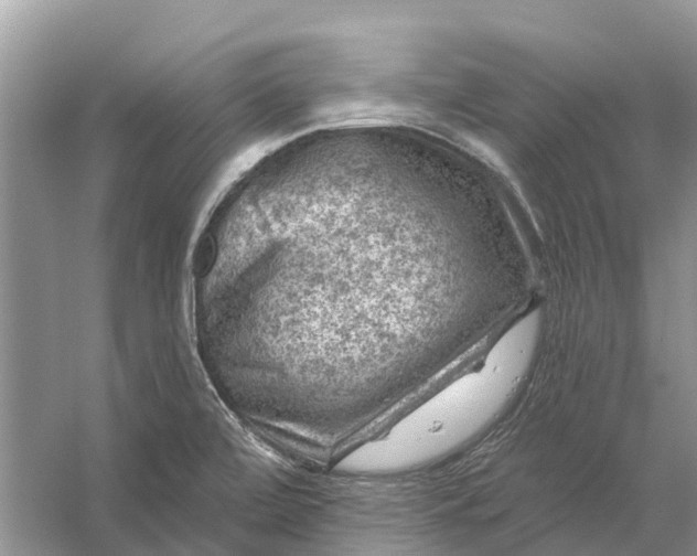 X0000058141472200510072018