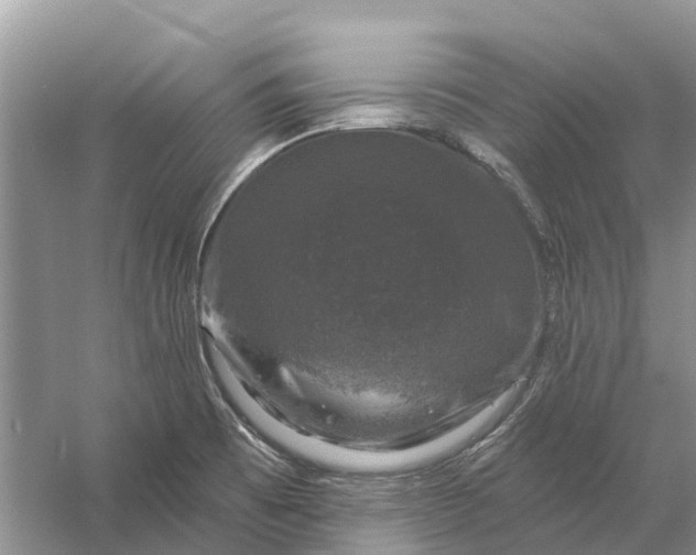 X0000058141473200510072018