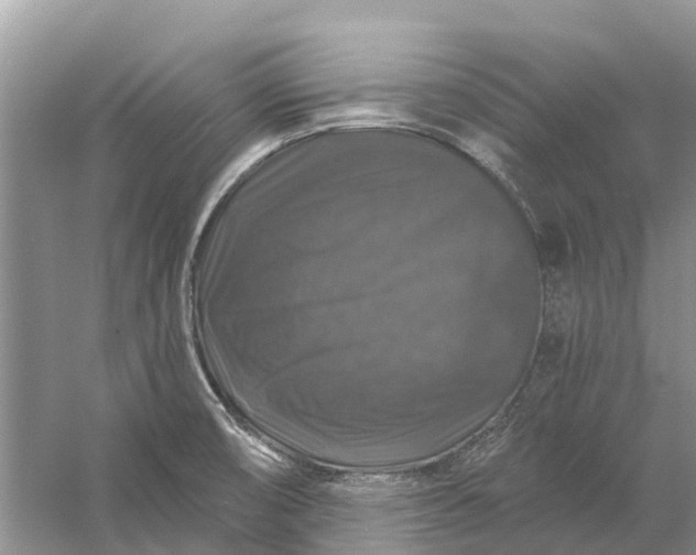 X0000058141474200510072018