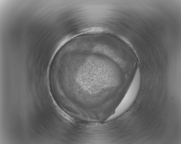 X0000058141475200510072018