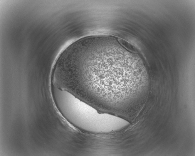 X0000058141480200510072018