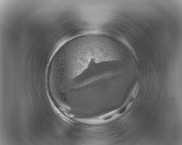 X0000058141483200510072018