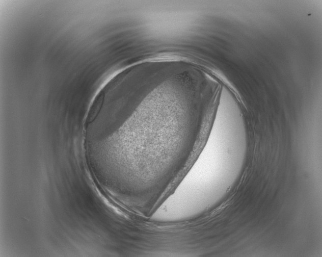 X0000058141484200510072018