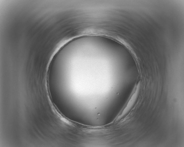 X0000058141486200510072018