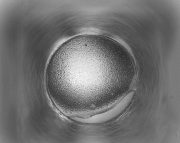 X0000058141488200510072018